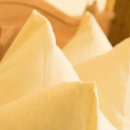 San Antonio Hotel 4*