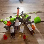 圣安东尼奥公寓式酒店 酒店 4*