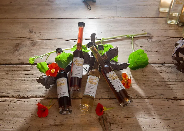 San Antonio Szálloda 4*